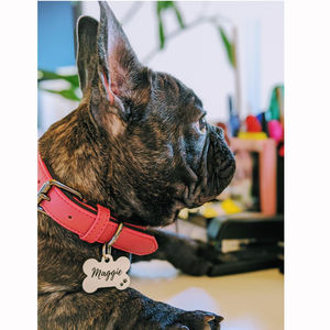 Venta caliente suave ajustable acolchado de cuero genuino con aleación de Zinc D anillo Collar de perro mediano grande <span class=keywords><strong>Extra</strong></span> grande perro - Product Image 5