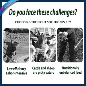 Mélangeur <span class=keywords><strong>d</strong></span>'aliments pour bovins et ovins <span class=keywords><strong>à</strong></span> haute efficacité, mélange uniforme, broyage et concassage en <span class=keywords><strong>une</strong></span> seule pièce, longue durée de <span class=keywords><strong>vie</strong></span> pour les exploitations <span class=keywords><strong>d</strong></span>'élevage - Product Image 2