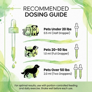 Gotas Líquidas para el Control de Peso de Mascotas OEM, L-Carnitina, Estimulante del Metabolismo para Perros y Gatos, Suplemento para el Apetito, 60 ml - Product Image 4