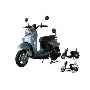 Günstiger Preis 2 Rad 1000w Erwachsene elektronische elektrische Motorrad pedale Ckd Elektro roller