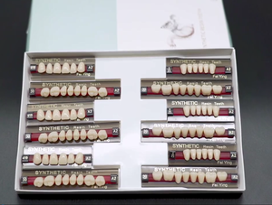 CE ISO <span class=keywords><strong>Dental</strong></span> <span class=keywords><strong>Lab</strong></span> 2 strati Composite resina sintetica denti resina acrilica denti dentiere Set denti finti artificiali - Product Image 3