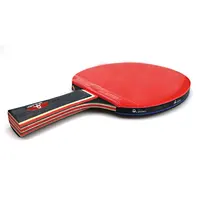 Filet de Tennis de Table rétractable, ensemble de battes de Ping-Pong à Long manche, raquette de Tennis de Table professionnelle