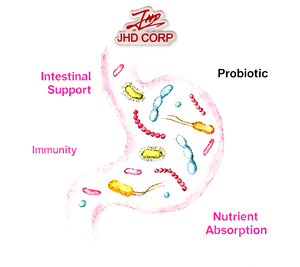 US/EU fornitura di magazzino cibo Garde materie prime Kimchi acido lattico batteri polvere Kimchi fermentazione batteri in polvere - Product Image 2