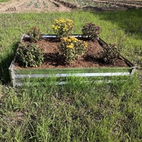 Poudre de lit de jardin surélevée carrée PLBD-1003 enduite pour la plantation de fleurs en plein air