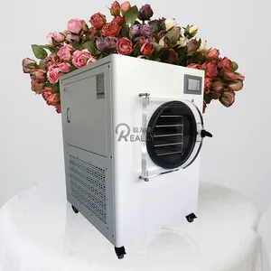 Fruit And Vegetable And Meat Vacuum Freeze Drying Machine Food Freeze Dryer Freeze Dryer Price