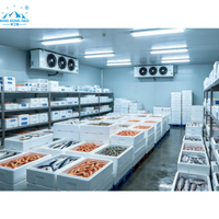 Chambre Froide Commerciale 3x3x2.5m pour Viande et Poisson