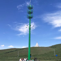 Torre de Telecomunicaciones Monopole con Galvanizado en Caliente para Aplicaciones de Internet 5G, WiFi y TV