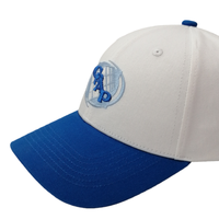 Topi Baseball Kanvas 6 Panel OEM Classic Unisex Putih Biru Gambar Bordir 3D Berkualitas Tinggi Model Snapback