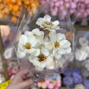 Ramo de 100g-200g de Frutos y <span class=keywords><strong>Flores</strong></span> de Ginkgo Naturales Frescos, Hechos a Mano por Zheng Ding, para Decoración de Graduación DIY - Product Image 2