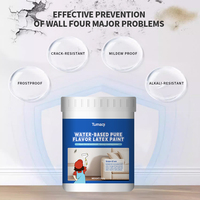 Peinture au latex à base d'eau, multifonctionnelle, imperméable, résistante au gel, à saveur pure, pour murs extérieurs et surfaces en ciment, OEM