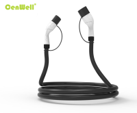 Câble de chargeur EV monophasé, 32A, 250V, 7kW, câble de charge EV 5M 7M 10M pour véhicules électriques