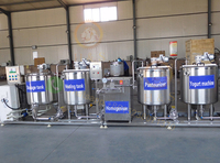 Machine professionnelle de fabrication de yaourt, petite ligne commerciale de production de yaourt de soja végétalien