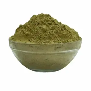 Pure Food Grade Kalmegh Herbal Extract Powder Bulk Supply High Quality Cosmetic Wellness Traditional Botanical Applications - Product Image 4