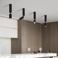 Focos LED de ángulo ajustable con poste largo, 15-60 grados, enfoque con zoom, luces empotradas para restaurante, lámpara de techo para sala de estar y pasillo