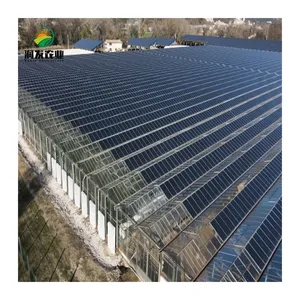 Serra agricola per PC a campata multipla dotata di apparecchiature per la generazione di energia solare fotovoltaica per la piantagione di ortaggi