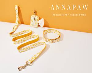 Conjunto de Lazo Personalizado de Terciopelo Sólido con Nombre Grabado, Collar Personalizado para Cachorro - Product Image 5