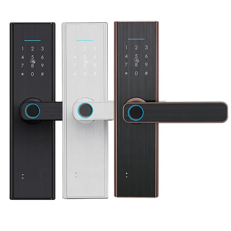 OEM Password Electric Smart Tuya TTlock APP telecomando Wireless Wifi vendita calda serratura intelligente con chiavi