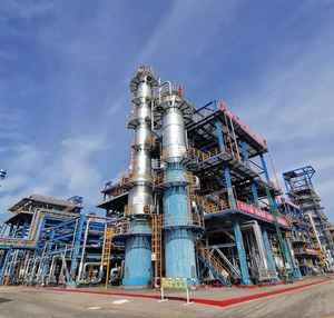 مشروع تغويز الكتلة الحيوية المخصص على نطاق واسع + 10MW - Product Image 4