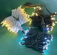 Guirlande de Noël LED Lumières de glaçons Rempli de colle IP65 3m de longueur 120 LED 220V-JHBZD03A