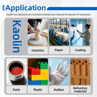 Poudre de Metakaolin et Kaolin Calciné Lavé, Direct Usine, 200-8000 Mesh, pour Céramique, Peinture, Papier, Ciment, Vente en Gros en Vrac
