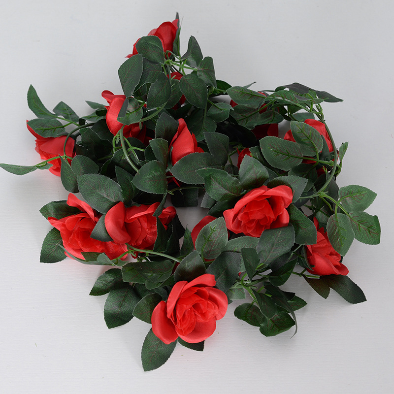 Rose rouge à 16 têtes