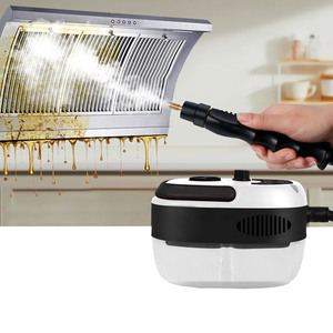 Nettoyeur à vapeur électrique haute température pour la cuisine de voiture à domicile 110V US Plug 220V EU Plug New Condition Air Hood Sterilization - Product Image 1