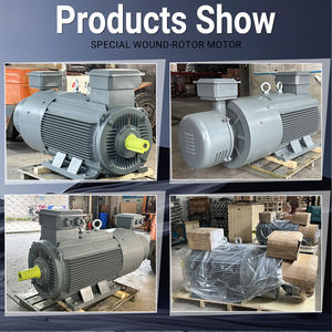 <span class=keywords><strong>Moteur</strong></span> spécial à <span class=keywords><strong>rotor</strong></span> enroulé 525V 720RPM 185KW Moteurs à induction triphasés - Product Image 6