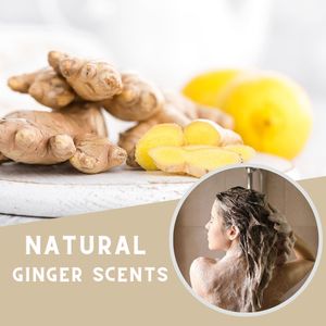 Shampoo Anticaduta al 100% Naturale con Siero Spray - Vendita Calda in Vietnam - Product Image 4