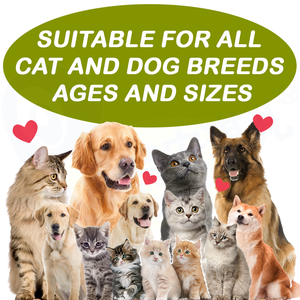 Oem & Odmオールナチュラルドッグシャンプープライベートラベル脂漏性皮膚炎犬と猫のシャンプーを管理 - Product Image 4