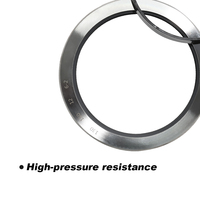 Joint d'étanchéité à l'huile en acier inoxydable LB, joint d'arbre haute performance, résistant à l'usure et à l'huile, qualité industrielle, joint d'huile LB