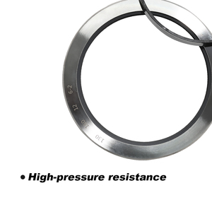 Lb thép không gỉ con dấu dầu hiệu suất cao con dấu trục mặc & dầu kháng công nghiệp cấp lb con dấu dầu - Product Image 6