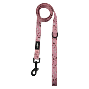 Conjunto de correa de <span class=keywords><strong>collar</strong></span> de perro de Venta caliente con patrón personalizado acolchado de neopreno conjunto de <span class=keywords><strong>collar</strong></span> de correa para mascotas para perros pequeños medianos grandes - Product Image 4