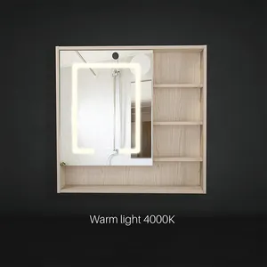 Fudakin Modern Illuminated Wall Smart Mirror Vanity Led Mirror LED Mirror Cabinet With Storage