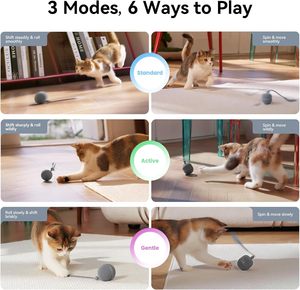 Jouets pour chats interactifs écologiques en plastique 2 en 1 pour usage intérieur Wicked Ball Duo2 avec deux coques interchangeables automatiques - Product Image 3