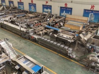 Mini, medium en grote capaciteit productielijn voor aardappelchips, commerciële automatische machine voor het maken van chips