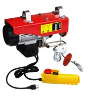 Mini palan électrique 300 Kg 500 Kg 1000 Kg Capacité de levage Palan à câble métallique avec chaîne en acier 220V pour ferme et hôtels