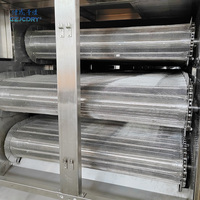 DW-laag continue mesh-banddroger voor de chemische en voedingsmiddelenindustrie, PLC-gestuurd, energiebesparend, voor katalysatordeeltjes