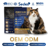 Litière pour chat en bentonite XINGMEI, vente en gros d'usine, conception personnalisée gratuite, faible teneur en poussière, hautement absorbante, agglomération rapide, écologique, contrôle des odeurs, 20L
