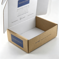 Boîte d'expédition personnalisée haut de gamme de style avion pour le branding des petites entreprises, emballage robuste pour envoi postal