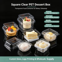 Boîte à gâteau en plastique transparente de qualité alimentaire, mini, carrée, à portion individuelle, rigide en PET, pour cubes de fromage salé, mousse