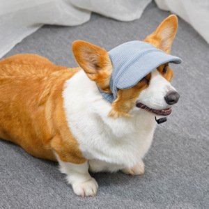 Chongtapet Gorra de béisbol para perros, sombrero de verano para Corgi, Teddy, Golden Retriever, sombrero de protección solar para mascotas, estilo monocromático - Product Image 2