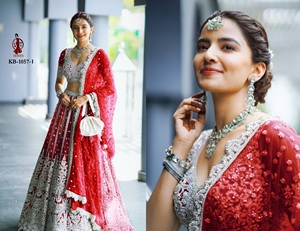 Red de mariposa pesada Hermoso trabajo de bordado Secuencia de Dori elegante Colección DE TRABAJO - Product Image 4