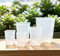 Pot Tanam Bibit Mini Plastik Transparan Persegi 2/3/4/5 Inci, Pot Kebun untuk Sukulen dan Kaktus