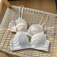 Soutien-gorge sans armatures en dentelle florale style français pour femme, petite poitrine, soutien latéral, respirant, doux, confortable, lingerie