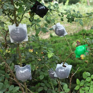 Boule de croissance pour plantes, dispositif de greffage, 5 pièces, pour arbres, jardinage agricole, fournitures de plantation, boîte de semis