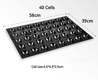 Plateau à fruits en plastique jetable personnalisé à 9, 25, 28, 30, 40 trous, en PP noir, blister en PET, plateau en plastique pour kiwi/pitaya pour supermarché