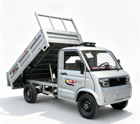 Mini camionnette électrique 60V à batterie au plomb, 4 roues, 1500W, 65km/h, autonomie 101-200km, 2 places, pour les stations balnéaires