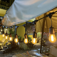 Guirlandes lumineuses LED étanches pour intérieur/extérieur, ampoules S14 avec télécommande pour jardin, patio, mariage, décoration de Noël
