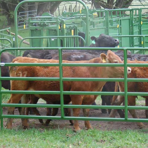 12ft <strong>Round</strong> <strong>Pen</strong> Livestock Corral Horse Fence <strong>Panels</strong> - Product Image 2