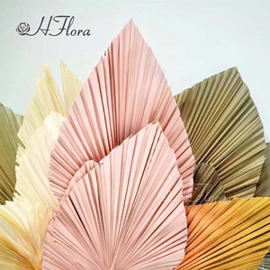 Feuilles de palmier naturelles préservées HFlora, très demandées, avec <span class=keywords><strong>eucalyptus</strong></span> et pétales de rose, écologiques, toucher réel, pour la <span class=keywords><strong>d</strong></span>écoration de la maison et de mariage - Product Image 6